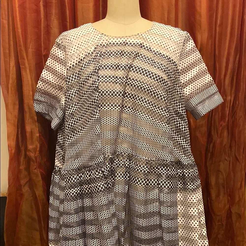 Baum und Pferdgarten Aria Gathered Polka Dot Organza midi Dress 
Size Eur 40.